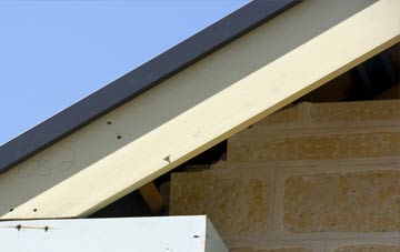 Wissett fascia repairs